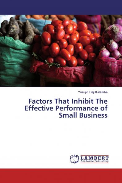 Factors That Inhibit The Effective Performance of Small Business