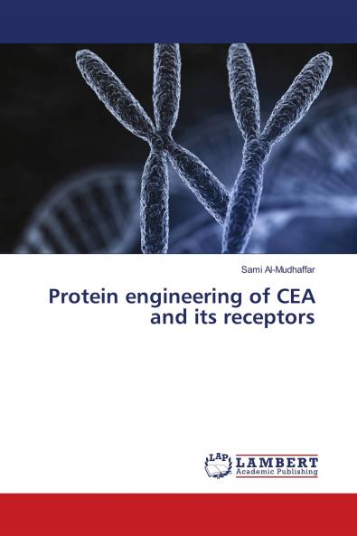 Protein engineering of CEA and its receptors