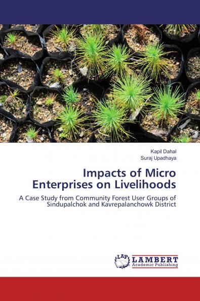 Impacts of Micro Enterprises on Livelihoods