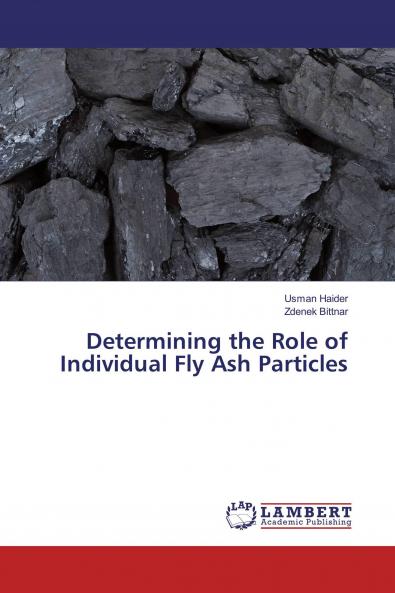 Determining the Role of Individual Fly Ash Particles