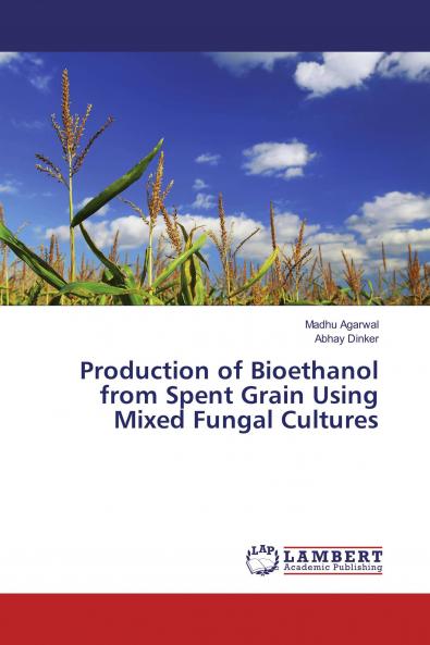 Production of Bioethanol from Spent Grain Using Mixed Fungal Cultures
