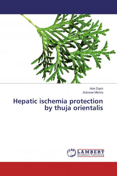 Hepatic ischemia protection by thuja orientalis