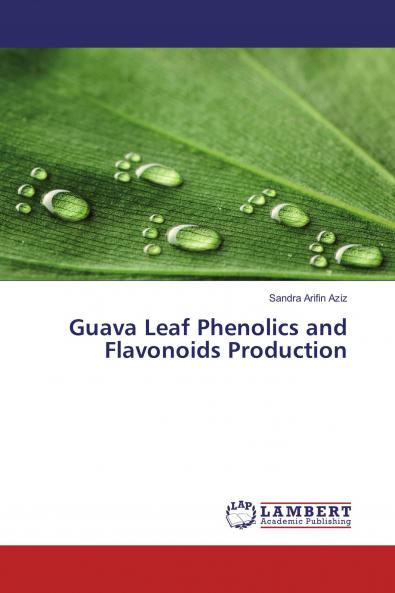 Guava Leaf Phenolics and Flavonoids Production