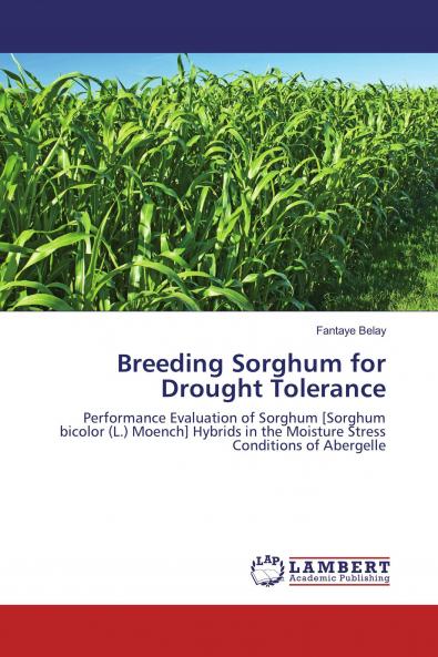 Breeding Sorghum for Drought Tolerance