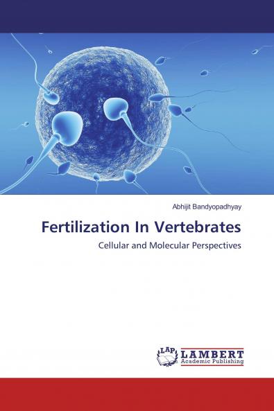 Fertilization In Vertebrates