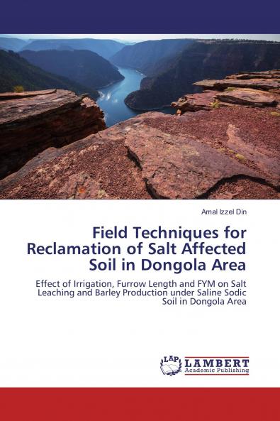 Field Techniques for Reclamation of Salt Affected Soil in Dongola Area
