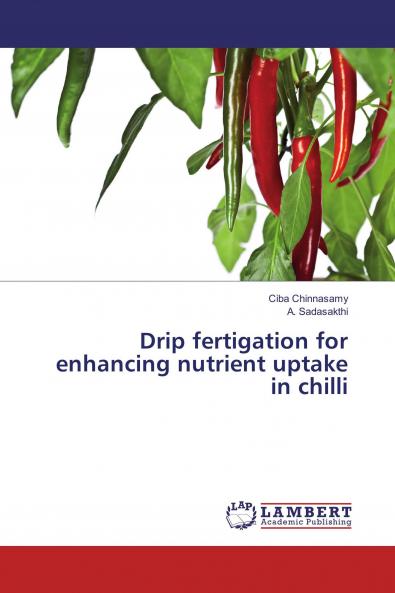 Drip fertigation for enhancing nutrient uptake in chilli