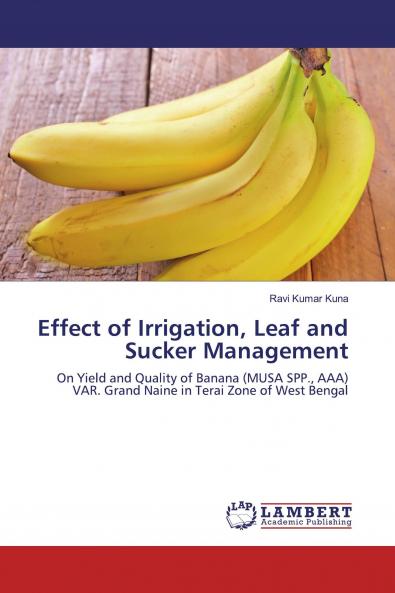 Effect of Irrigation Leaf and Sucker Management
