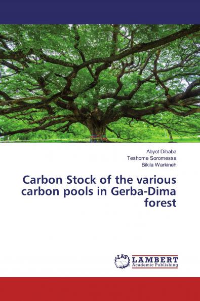 Carbon Stock of the various carbon pools in Gerba-Dima forest