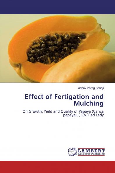 Effect of Fertigation and Mulching