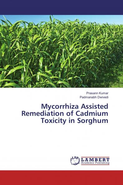 Mycorrhiza Assisted Remediation of Cadmium Toxicity in Sorghum