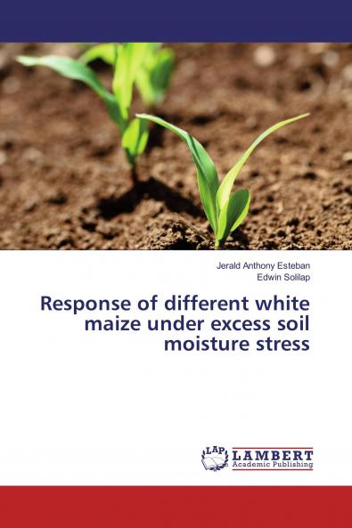 Response of different white maize under excess soil moisture stress