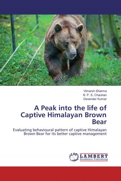 A Peak into the life of Captive Himalayan Brown Bear