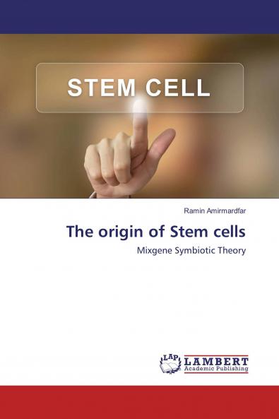 The origin of Stem cells