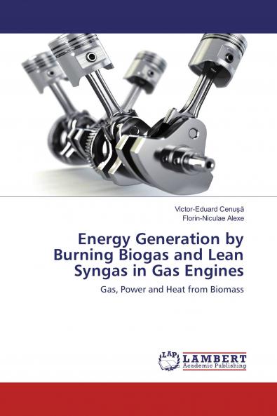 Energy Generation by Burning Biogas and Lean Syngas in Gas Engines
