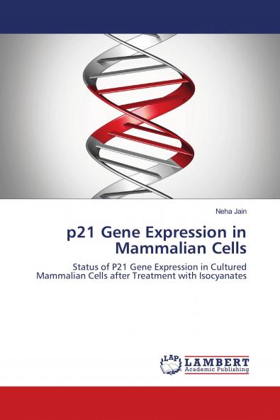 p21 Gene Expression in Mammalian Cells