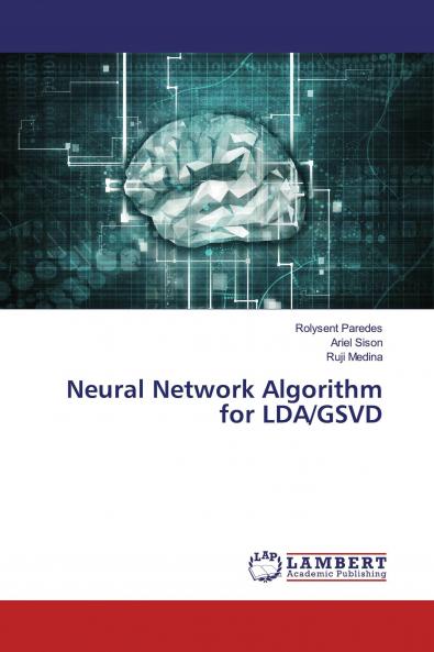 Neural Network Algorithm for LDA/GSVD