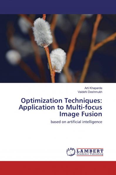 Optimization Techniques: Application to Multi-focus Image Fusion