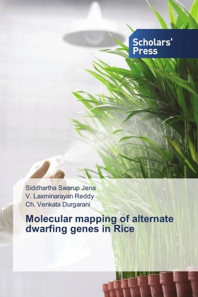 Molecular mapping of alternate dwarfing genes in Rice