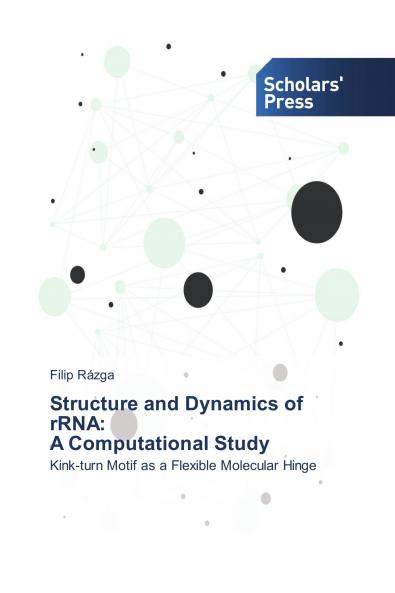 Structure and Dynamics of rRNA