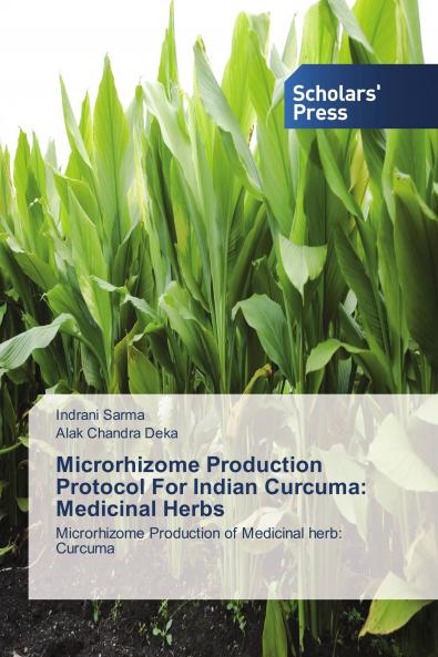 Microrhizome Production Protocol For Indian Curcuma