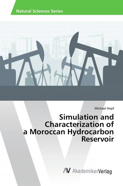 Simulation and Characterization of a Moroccan Hydrocarbon Reservoir