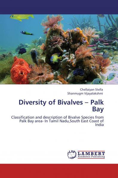 Diversity of Bivalves - Palk Bay