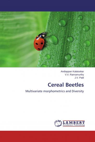 Cereal Beetles