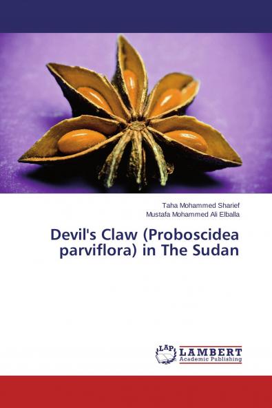 Devil's Claw (Proboscidea parviflora) in The Sudan