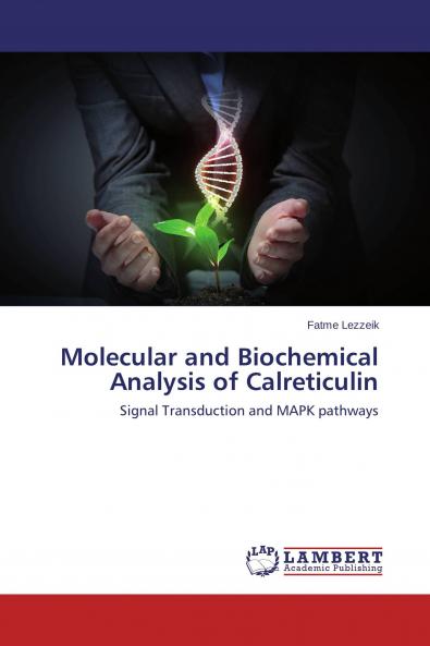 Molecular and Biochemical Analysis of Calreticulin