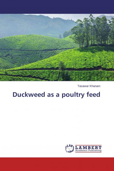 Duckweed as a poultry feed