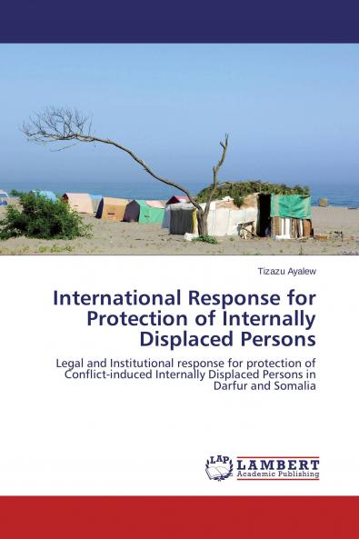 International Response for Protection of Internally Displaced Persons