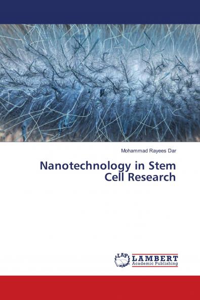 Nanotechnology in Stem Cell Research