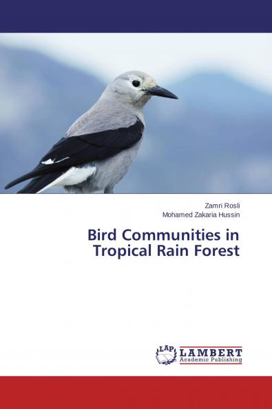 Bird Communities in Tropical Rain Forest