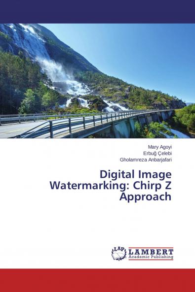 Digital Image Watermarking