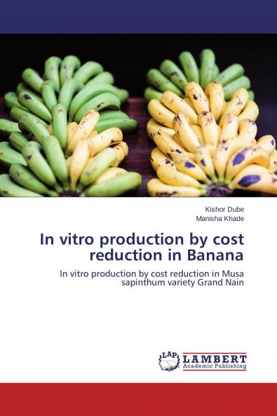 In vitro production by cost reduction in Banana