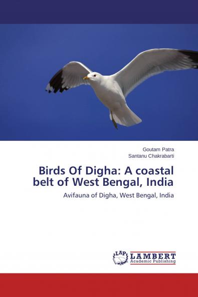 Birds Of Digha