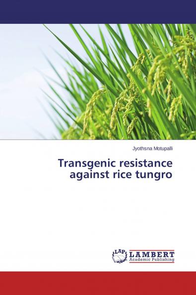 Transgenic resistance against rice tungro