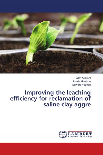 Improving the leaching efficiency for reclamation of saline clay aggre