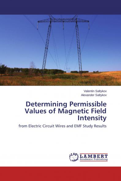 Determining Permissible Values of Magnetic Field Intensity