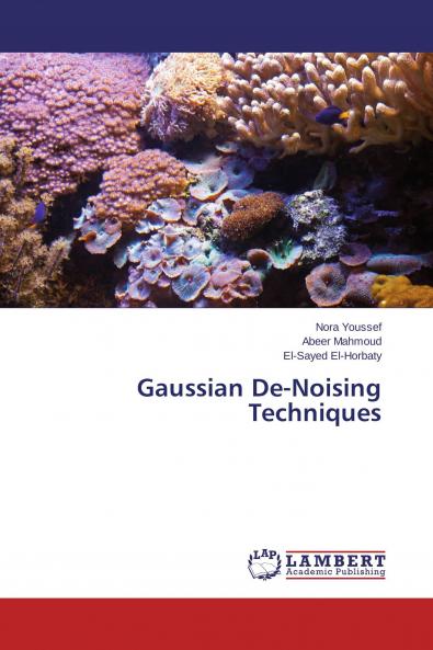 Gaussian De-Noising Techniques