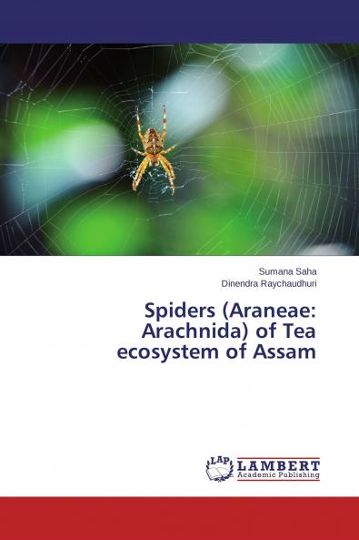 Spiders (Araneae