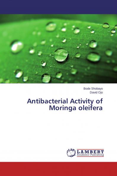 Antibacterial Activity of Moringa oleifera