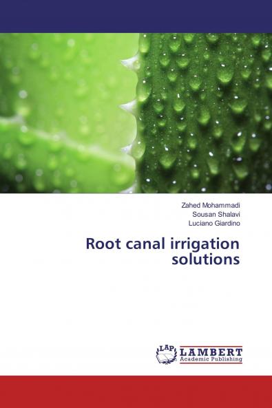 Root canal irrigation solutions