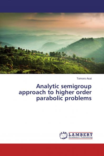 Analytic semigroup approach to higher order parabolic problems