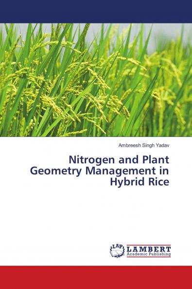 Nitrogen and Plant Geometry Management in Hybrid Rice