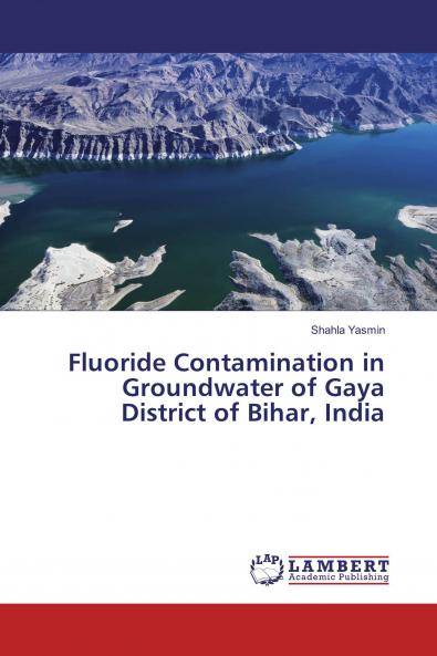 Fluoride Contamination in Groundwater of Gaya District of Bihar India