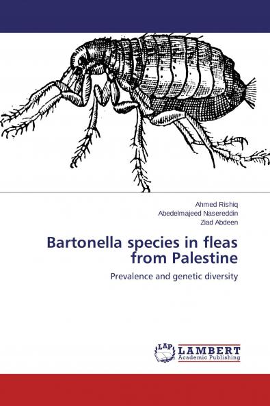Bartonella species in fleas from Palestine