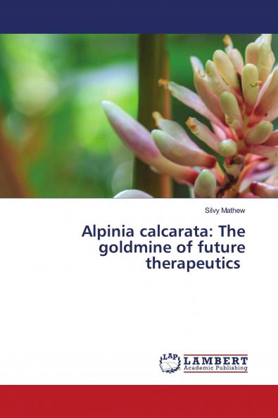 Alpinia calcarata