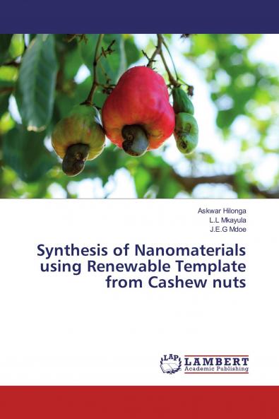 Synthesis of Nanomaterials using Renewable Template from Cashew nuts